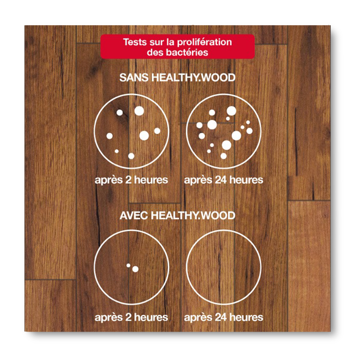 HEALTHY.WOOD_InfograficaTestBatteri_suLegno_web-fra-con-bordo-1