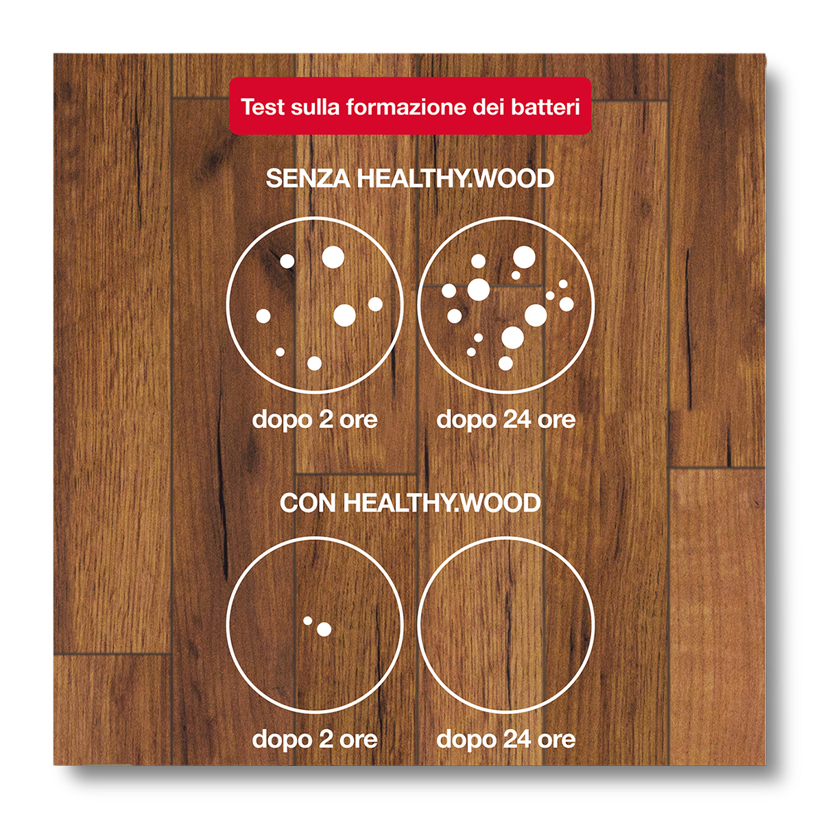 HEALTHY.WOOD_InfograficaTestBatteri_suLegno_web_contorno