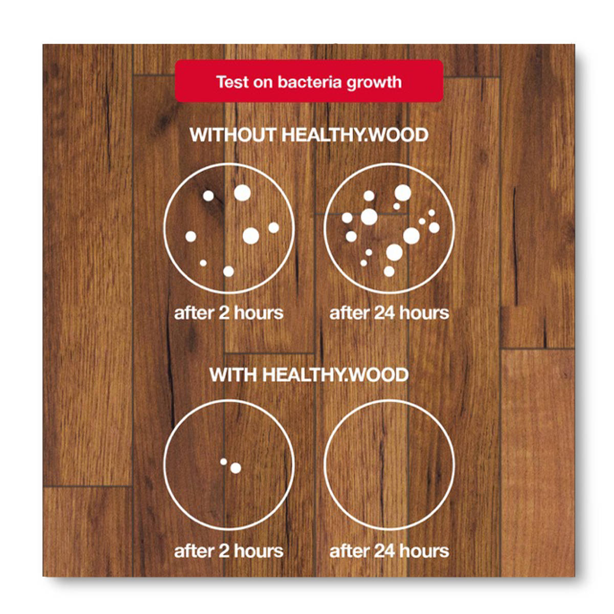 HEALTHY.WOOD_InfograficaTestBatteri_suLegno_web-eng-con-bordo-1-1