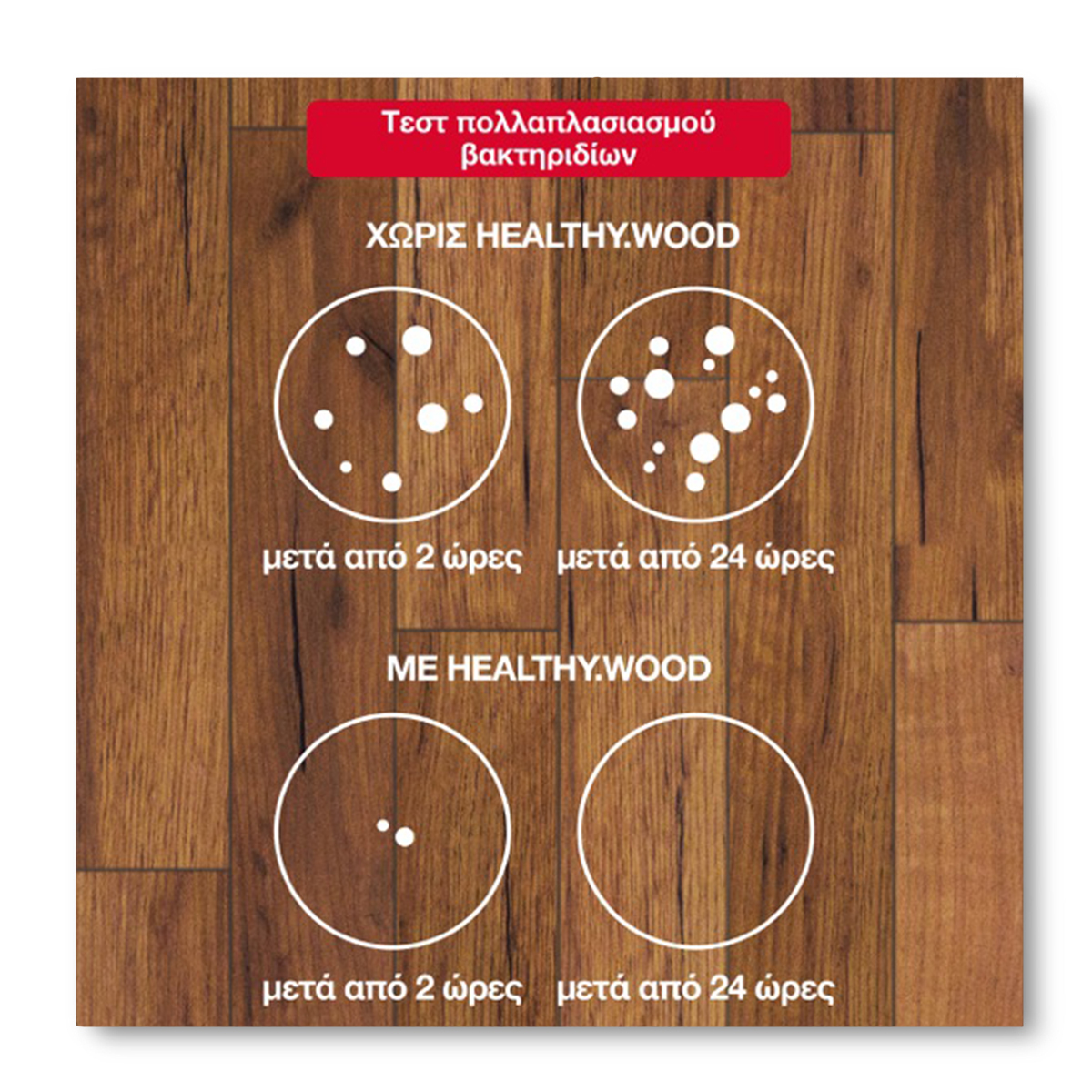 HEALTHY.WOOD_InfograficaTestBatteri_suLegno_web-gre-con-bordo-1