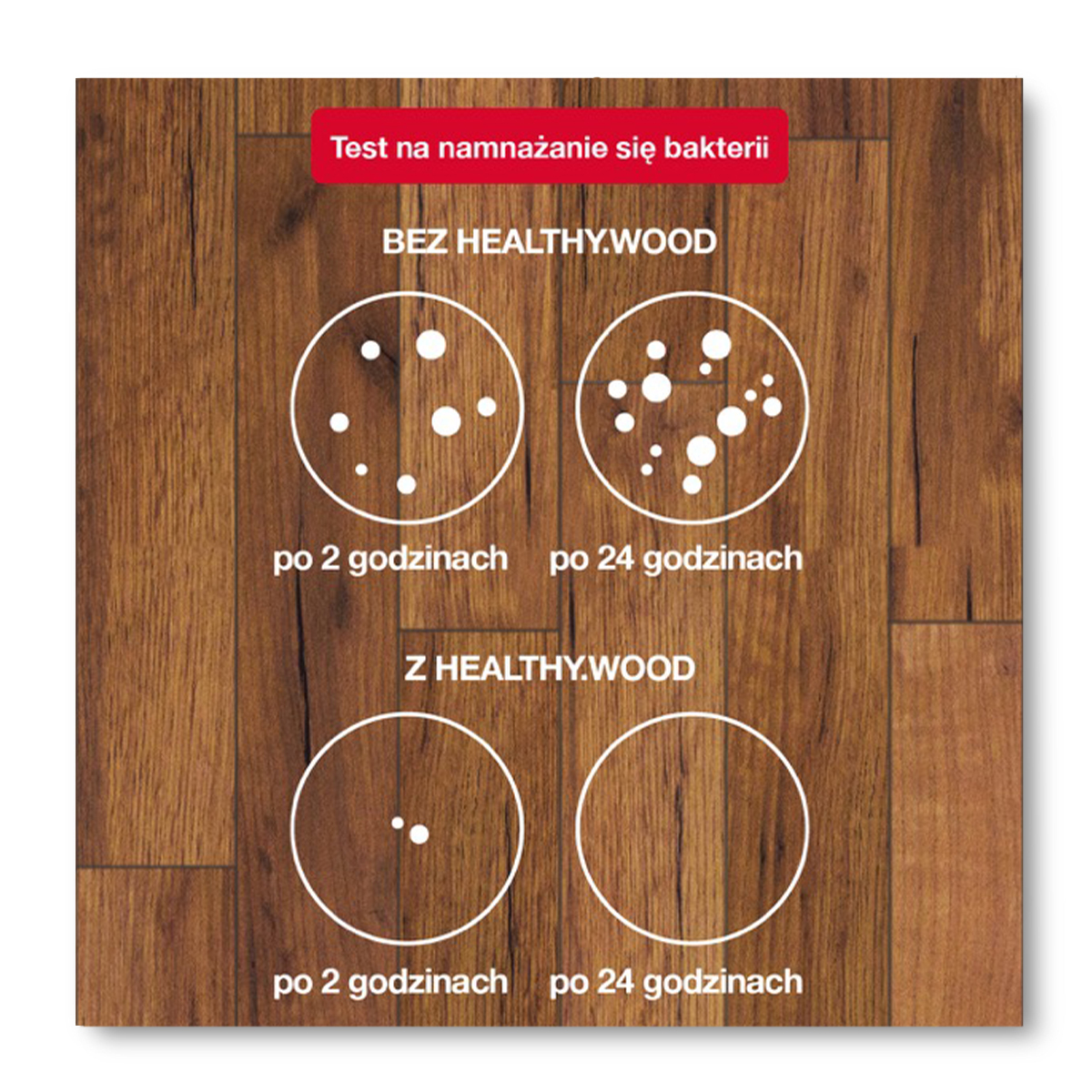 HEALTHY.WOOD_InfograficaTestBatteri_suLegno_web-pol-con-bordo-1