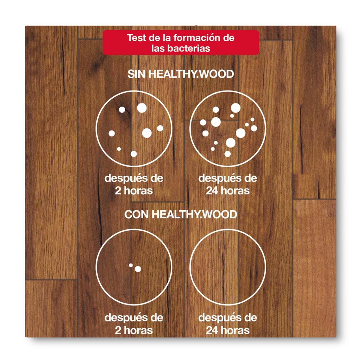 HEALTHY.WOOD_InfograficaTestBatteri_suLegno_web-spa-con-bordo-1